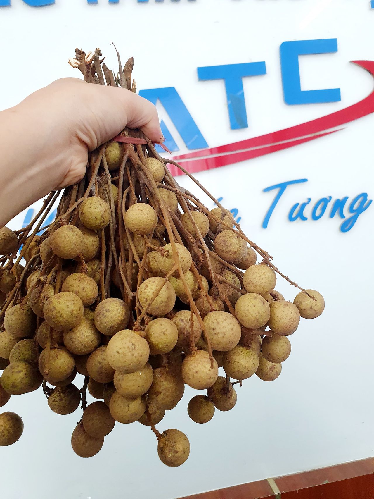 Trung tam dao tao tin hoc van phong tai Thanh Hoa