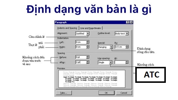 Định dạng văn bản là gì