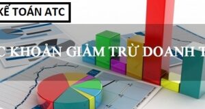 Các khoản giảm trừ doanh thu 1