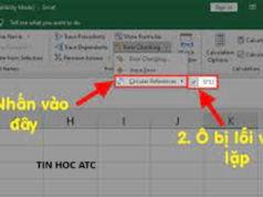 Học tin học văn phòng ở Thanh Hóa Đã bao giờ bạn gặp tình trạng lỗi vòng lặp chưa? Nguyên nhân và cách sửa như thế nào? Chúng ta cùng