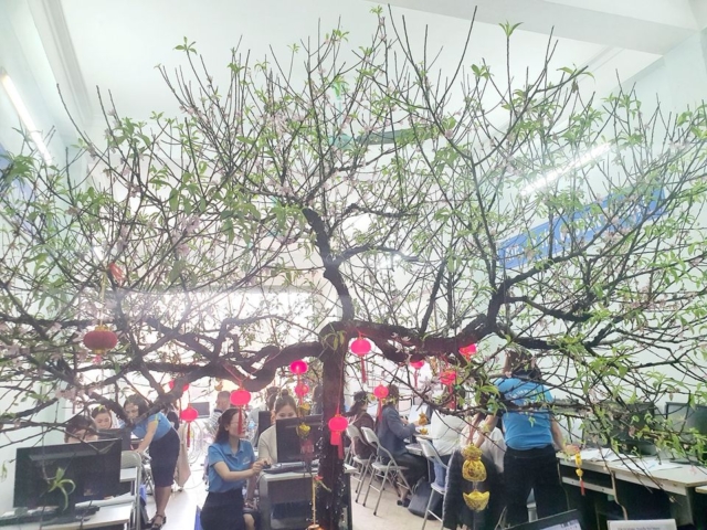 Học kế toán thuế ở Thanh Hóa ATC DẠY VÀ HỌC DƯỚI TÁN CÂY ĐÀO XÕA BÓNG TUYỆT ĐẸP...TẾT VẪN CÒN TẠI ATC NHƯNG FULL