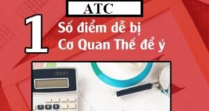 Một số điểm dễ bị cơ quan thuế soi 2