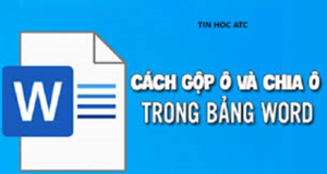 Học tin học ở thanh hóa Bạn đang tạo table trên word và bạn muốn chia ô, nhưng chưa biết cách làm? Tin học ATC sẽ hướng dẫn cách làm