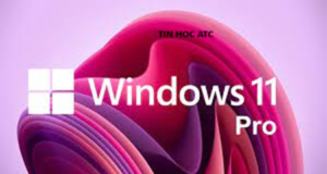 Học tin học ở thanh hóa Nếu bạn chưa biết cách nâng cấp từ win 11 home lên win 11 pro? Bạn hãy thử làm theo cách sau nhé!