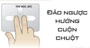 Học tin học ở thanh hóa Làm sao để đảo chiều cuộn chuột trên windowws 11? Tin học ATC xin chia sẽ cách làm trong bài viết dưới đây nhé!