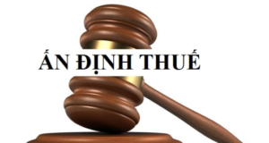 17 trường hợp doanh nghiệp bị ấn định thuế