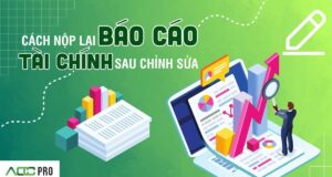 Cách nộp lại báo cáo tài chính khi sửa đổi thong tin