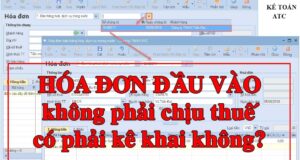 Hóa đơn đầu vào không chịu thuế có phải kê khai không