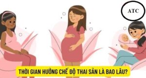 Lao động nữ nghỉ thai sản trước sinh có được hay không