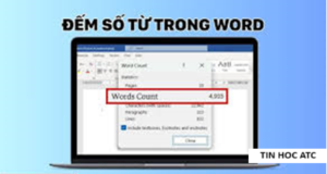 Hoc tin hoc van phong o Thanh Hoa Muốn đếm tổng số ký tự, số dòng và số trang văn bản mời bạn tham khảo bài viết sau đây để biết cách làm nhé!