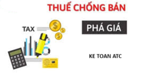 Trung tam ke toan o thanh hoa Để bảo vệ các ngành công nghiệp trong nước cũng như ngăn chặn việc bán phá giá thì cơ quan nhà nước đã đưa
