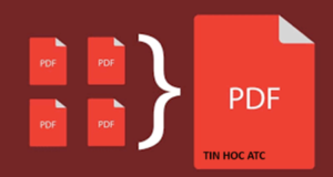Học tin học thực hành tại thanh hóa Muốn in nhiều file PDF một lúc thì bạn hãy thử làm theo cách dưới đây nhé!Chọn tất cả File PDF vô 1