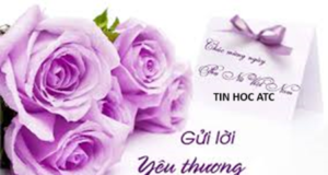 Hoc tin hoc van phong tai Thanh Hoa Phụ nữ Việt Nam, biểu tượng của sự kiên cường, bất khuất, được ví như thân cây liễu, tuy mỏng mang