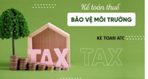 Hoc ke toan thue o thanh hoa Thuế môi trường là gì? Cách hạch toán thuế môi trường như thế nào? Mời bạn tham khảo bài viết dưới đây nhé!