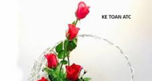 Trung tâm kế toán ở thanh hóa Hình ảnh người phụ nữ Việt Nam ghi dấu ấn mạnh mẽ với bạn bè quốc tế với tà áo dài thướt tha,nụ cười hiền