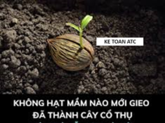 Học kế toán cấp tốc ở thanh hóa GIEO MẦM THÀNH CÔNG"Gieo thành công" là một khái niệm xuất phát từ tư tưởng tích cực và kiểm soát thái độ