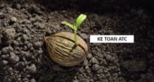 Học kế toán cấp tốc ở thanh hóa GIEO MẦM THÀNH CÔNG"Gieo thành công" là một khái niệm xuất phát từ tư tưởng tích cực và kiểm soát thái độ