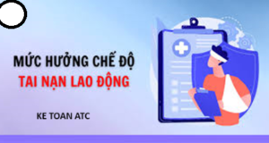 Học kế toán cấp tốc ở thanh hóa Để đảm bảo quyền lợi cho người lao động nhà nước đã quy định hàng tháng người sử dụng lao động