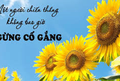 Học kế toán cấp tốc ở thanh hóa “Không có gì là không thể với một người luôn biết cố gắng”.Cho đến nay con người vẫn chưa phát hi