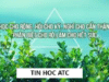 Trung tam tin hoc tai thanh hoa Học tập không phải là dồn ép tất cả mọi thứ vào trong đầu, mà là biết cách chọn lọc, tiếp thu vừa đủ để hiểu