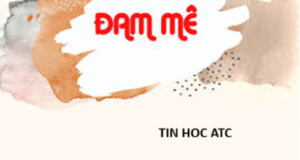 Hoc tin hoc tai thanh hoa “Để xuất sắc trong công việc của bạn, hãy nuôi dưỡng tình yêu thực sự đối với những gì bạn đang làm. Đam mê