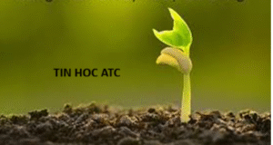 Trung tâm tin học ở thanh hóa “Mọi công việc đáng sợ đều trở nên không có gì đến khi bạn chinh phục nó.Hãy tin, và bạn sẽ đạt được
