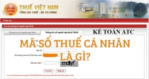 Mã số thuế cá nhân là gì