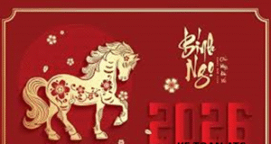 Hoc ke toan o thanh hoa Tết Nguyên Đán 2026 về trong không khí rất khác, nhẹ nhàng và hiện đại hơn, nhưng cảm xúc thì vẫn còn nguyên vẹn.