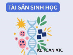 Hoc ke toan thuc hanh tai thanh hoa Từ ngày 01/01/2026, Thông tư 99/2025/TT-BTC chính thức có hiệu lực và thay thế Thông tư 200/2014/TT-BTC.
