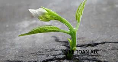 Hoc ke toan thuc te tai thanh hoa Hoc ke toan thuc te tai thanh hoa Cuộc sống không phải lúc nào cũng trải đầy hoa hồng. Có những ngày ta cảm thấy mệt mỏi, thất vọng vì