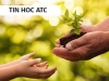 Hoc tin hoc o thanh hoa Người Bi Quan Nhìn Ra Khó Khăn Trong Mọi Cơ Hội, Người Lạc Quan Nhìn Ra Cơ Hội Trong Mọi Khó KhănCuộc sống
