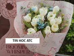 Hoc tin hoc cap toc o thanh hoa 20/10 NÀY "U MÊ" AI? GỢI Ý CÁCH GEN Z BẬT MODE YÊU THƯƠNG DÀNH CHO CÁC "NỮ THẦN"Mỗi độ tháng 10